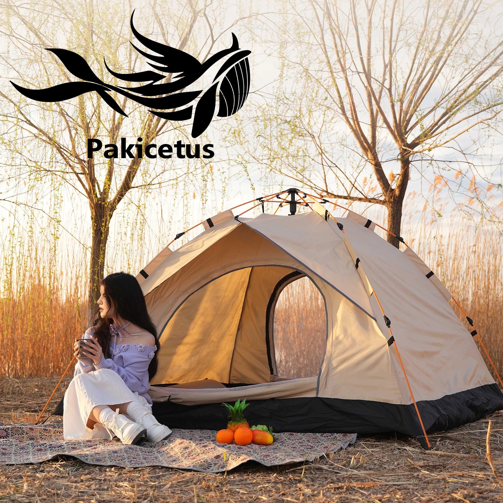 Lightweight 2-4 Person Camping Windproof Tents