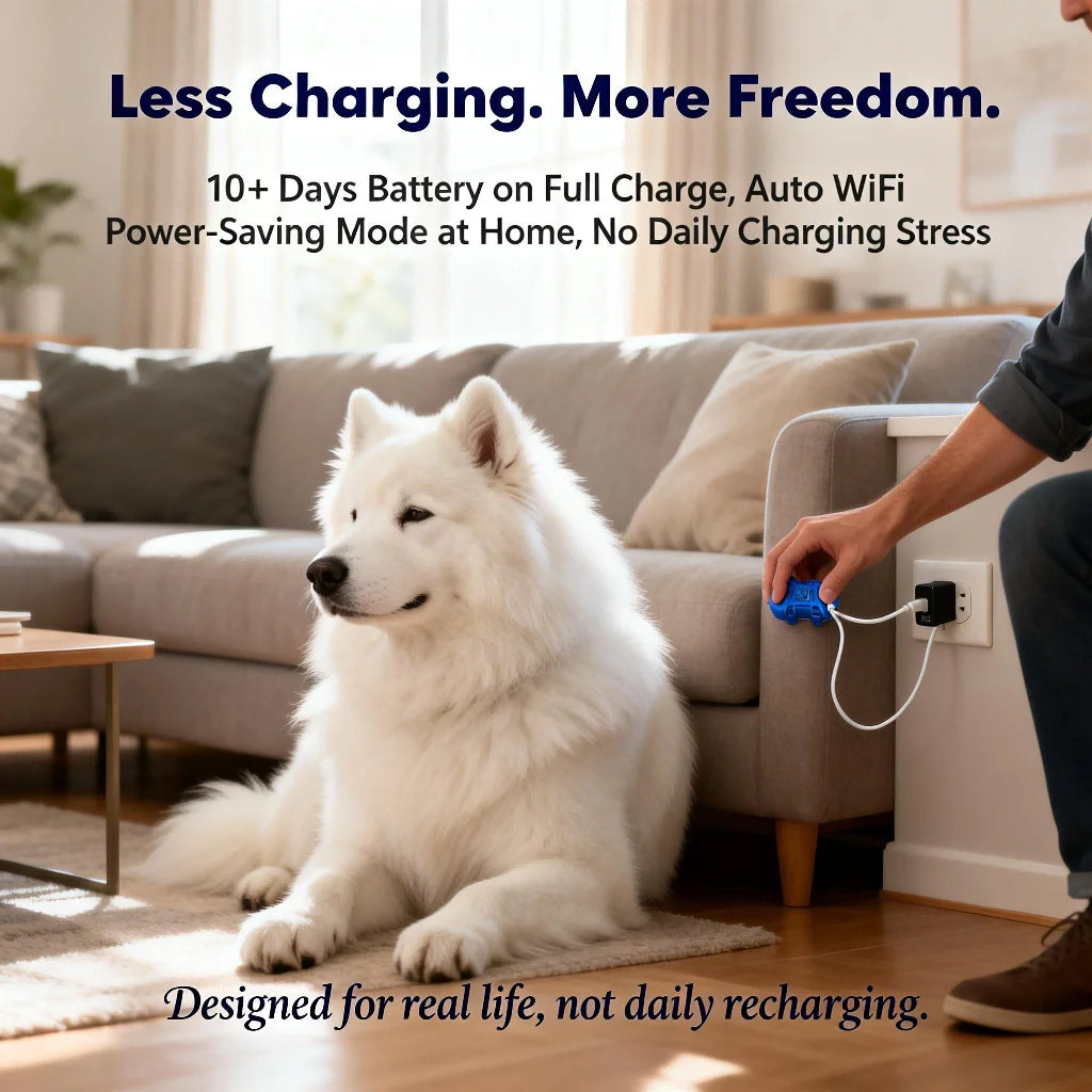 GPS Pet Tracker for Dogs And Cats With Real Time Tracking