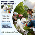 GPS Pet Tracker for Dogs And Cats With Real Time Tracking