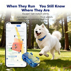 GPS Pet Tracker for Dogs And Cats With Real Time Tracking