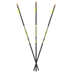 Carbon Express D-Stroyer Fletched Carbon Hunting Arrows (6-Pack)